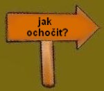 jak ochoit
