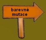 barevn mutace