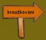 kroukovn